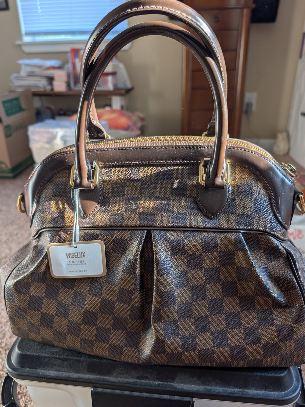 Louis Vuitton Trevi PM Satchel